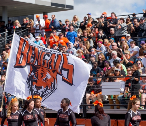 Homecoming crowd with flag